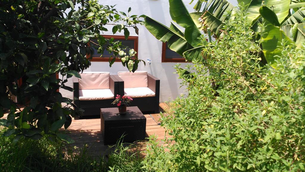 Villa Canaria Piscina Jacuzzi Jardin Santa Maria de Guia de Gran Canaria Εξωτερικό φωτογραφία
