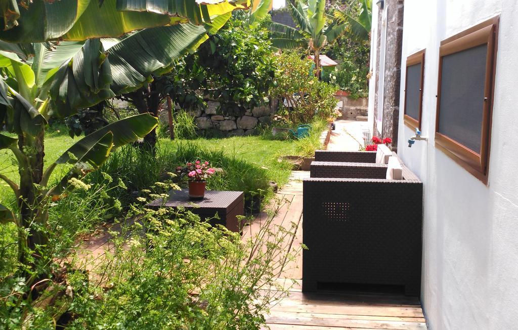 Villa Canaria Piscina Jacuzzi Jardin Santa Maria de Guia de Gran Canaria Εξωτερικό φωτογραφία