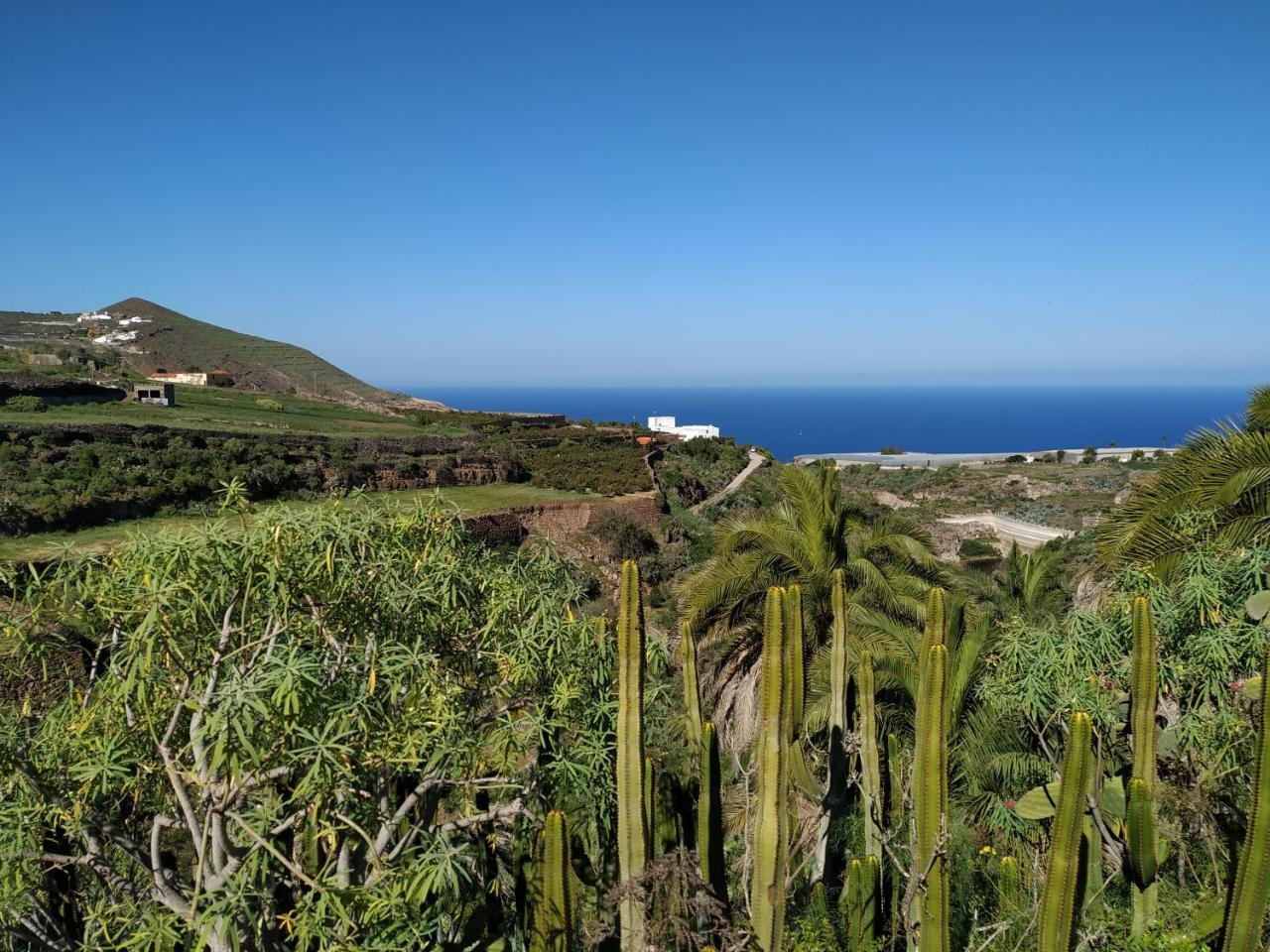 Villa Canaria Piscina Jacuzzi Jardin Santa Maria de Guia de Gran Canaria Εξωτερικό φωτογραφία