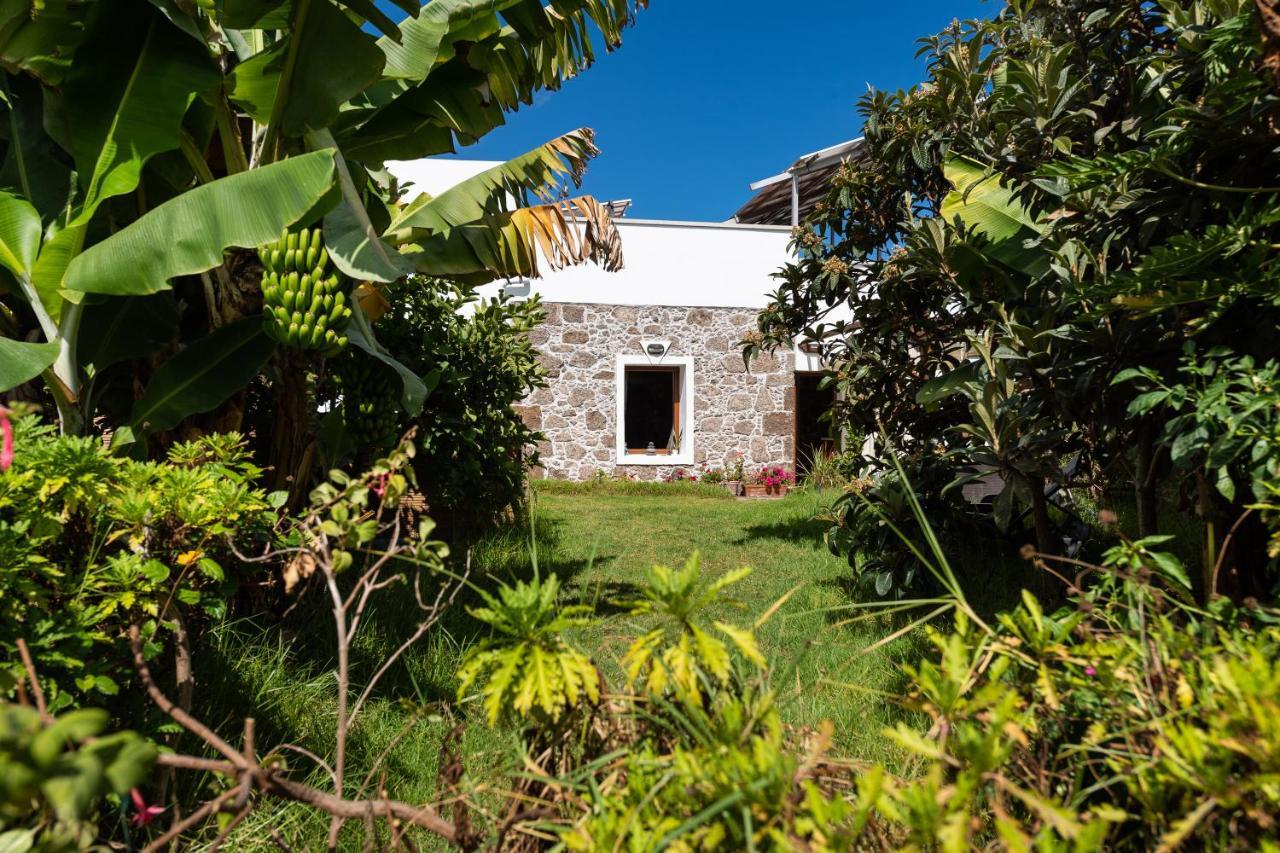Villa Canaria Piscina Jacuzzi Jardin Santa Maria de Guia de Gran Canaria Εξωτερικό φωτογραφία